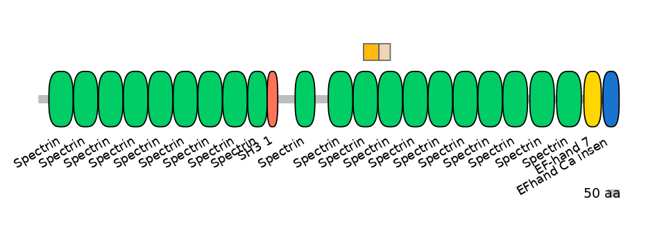 RnoINT0143012-EXC
