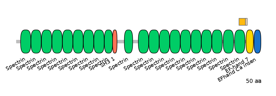 RnoINT0143033-EXC