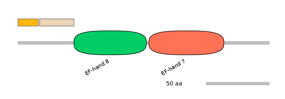 RnoINT0143471-EXC