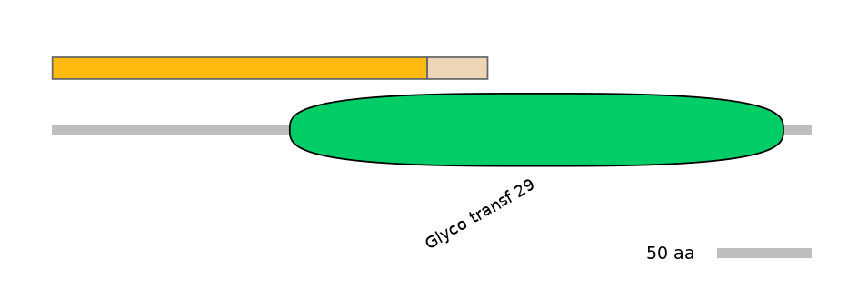 RnoINT0144188-EXC