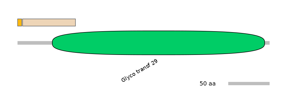 RnoINT0144214-EXC