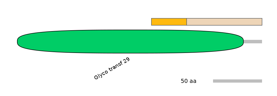 RnoINT0144224-EXC