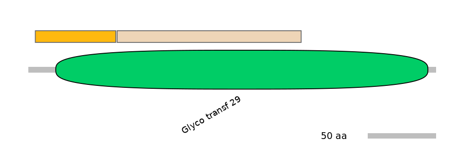 RnoINT0144227-EXC
