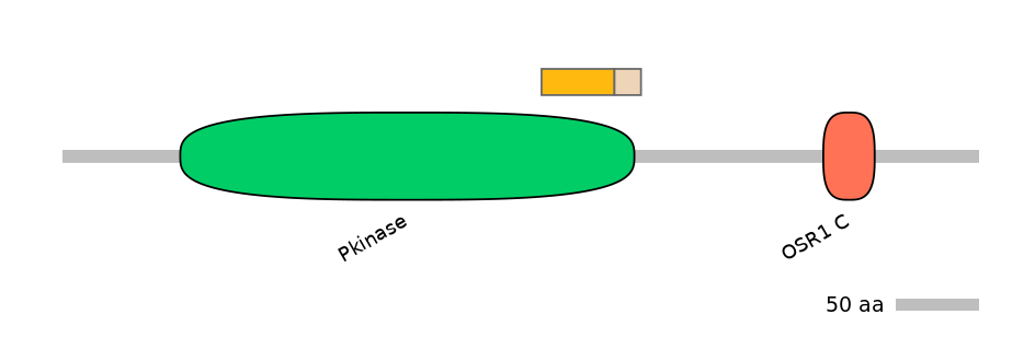 RnoINT0145154-EXC