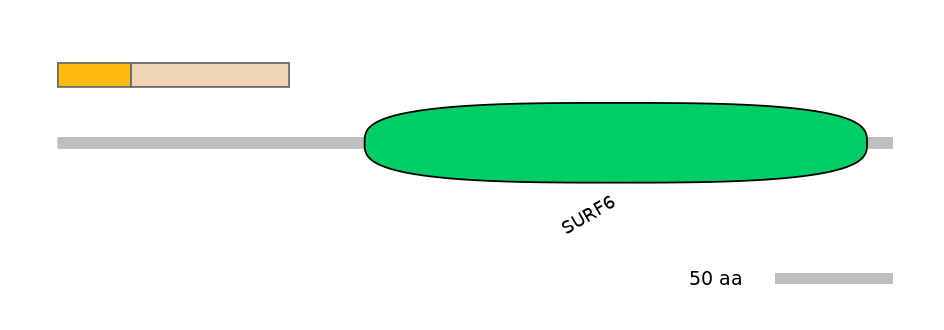 RnoINT0146200-EXC