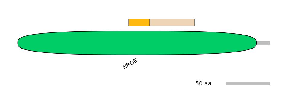 RnoINT0147564-EXC