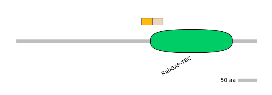 RnoINT0147918-EXC