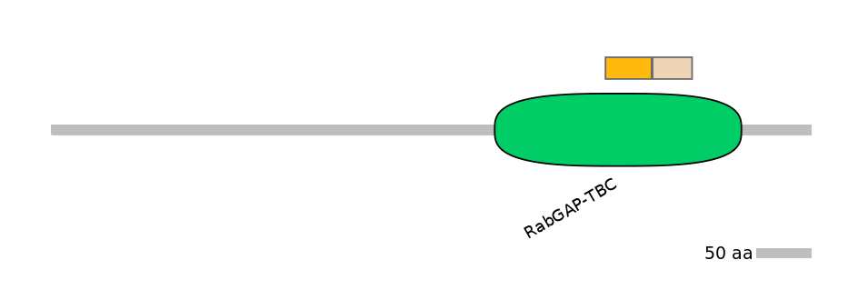 RnoINT0147922-EXC