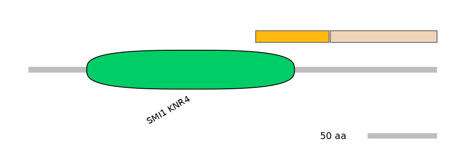 RnoINT0154869-EXC