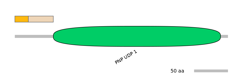 RnoINT0160924-EXC