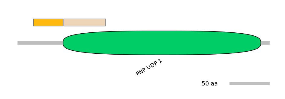 RnoINT0160925-EXC