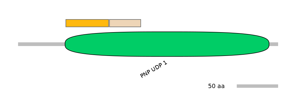 RnoINT0160926-EXC