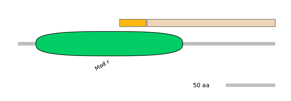 RnoINT0163620-EXC