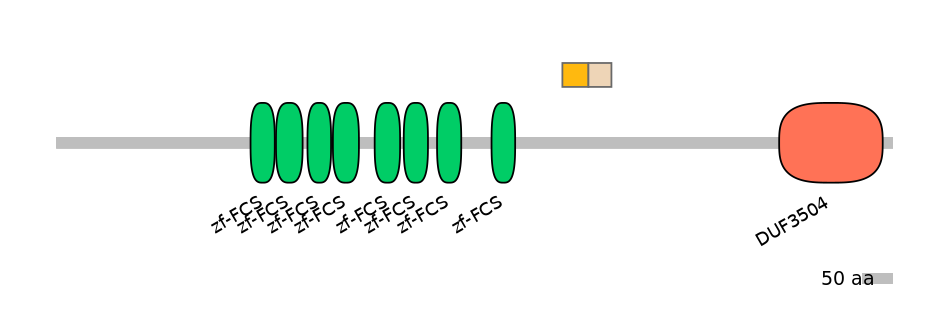 RnoINT0169115-EXC