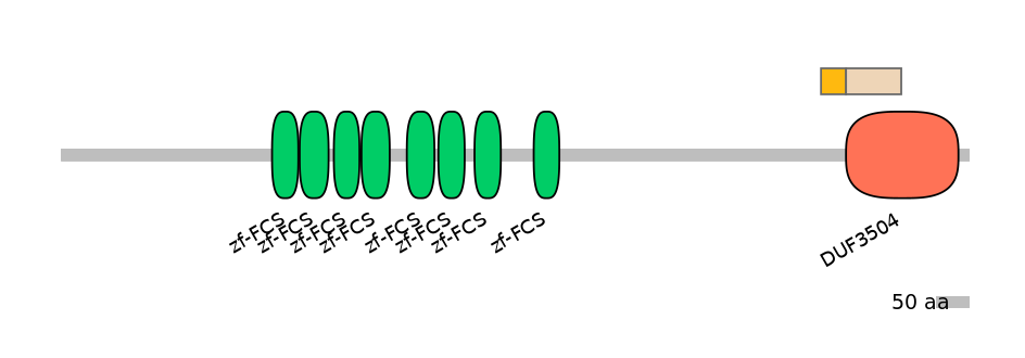 RnoINT0169123-EXC