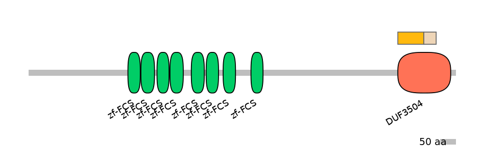 RnoINT0169124-EXC