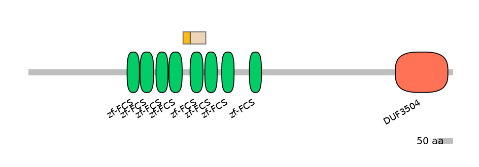 RnoINT0169128-EXC