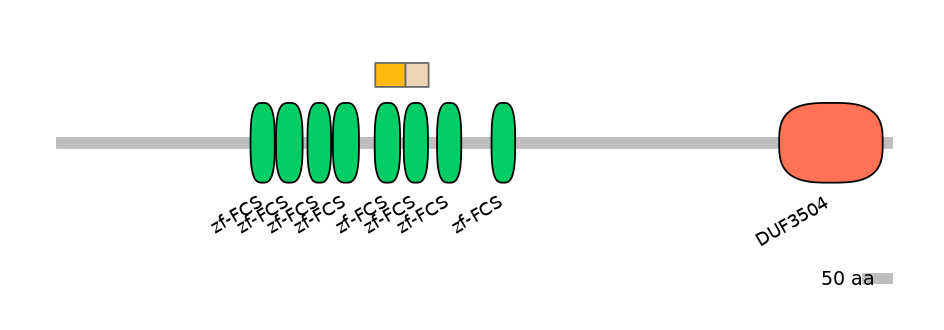 RnoINT0169129-EXC