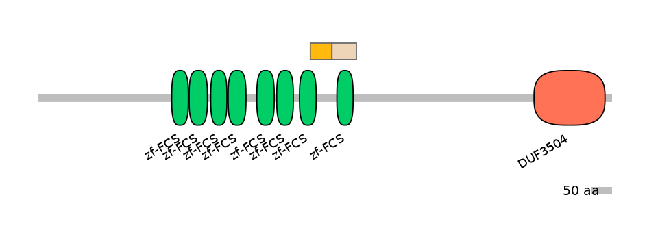 RnoINT0169132-EXC