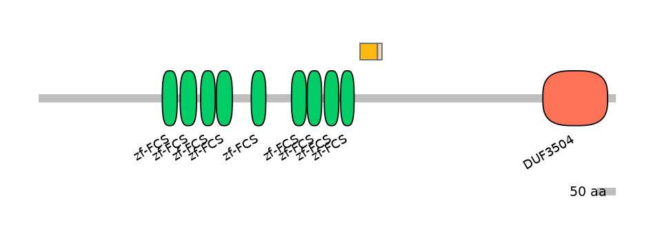 RnoINT0169163-EXC