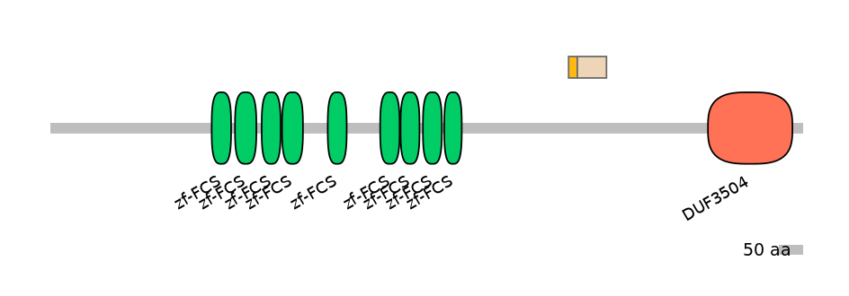 RnoINT0169169-EXC