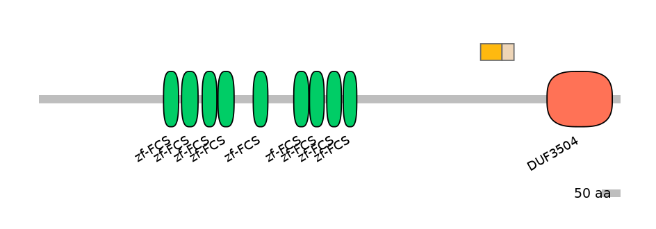 RnoINT0169172-EXC