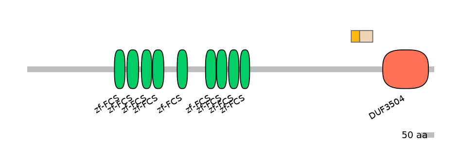 RnoINT0169173-EXC