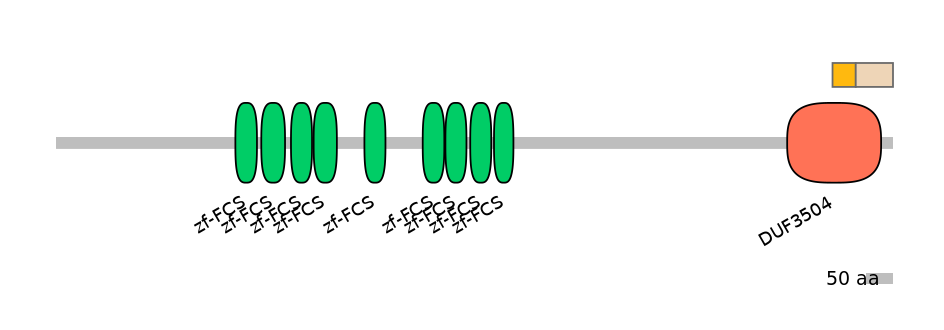 RnoINT0169177-EXC