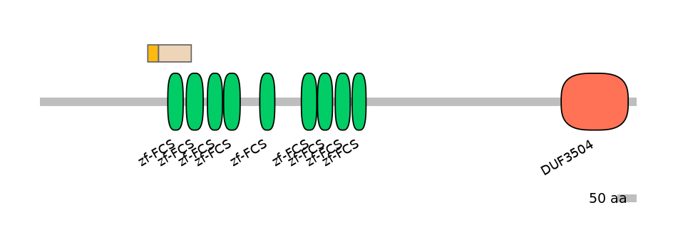 RnoINT0169181-EXC