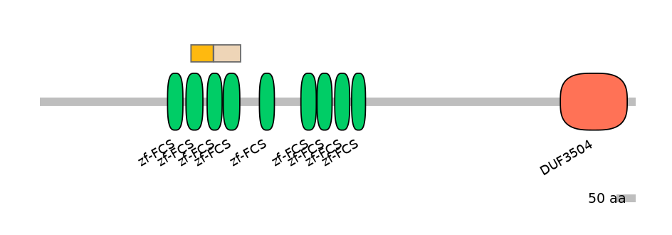 RnoINT0169183-EXC